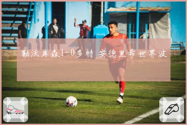 勒沃库森1-0多特 安德里希世界波