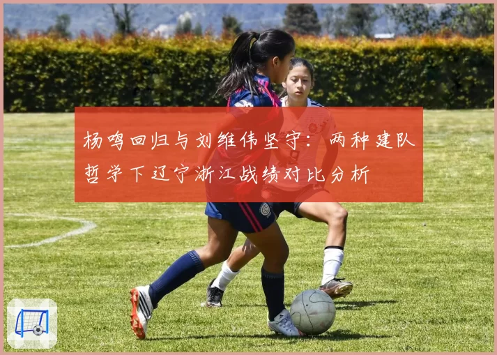 杨鸣回归与刘维伟坚守:两种建队哲学下辽宁浙江战绩对比分析