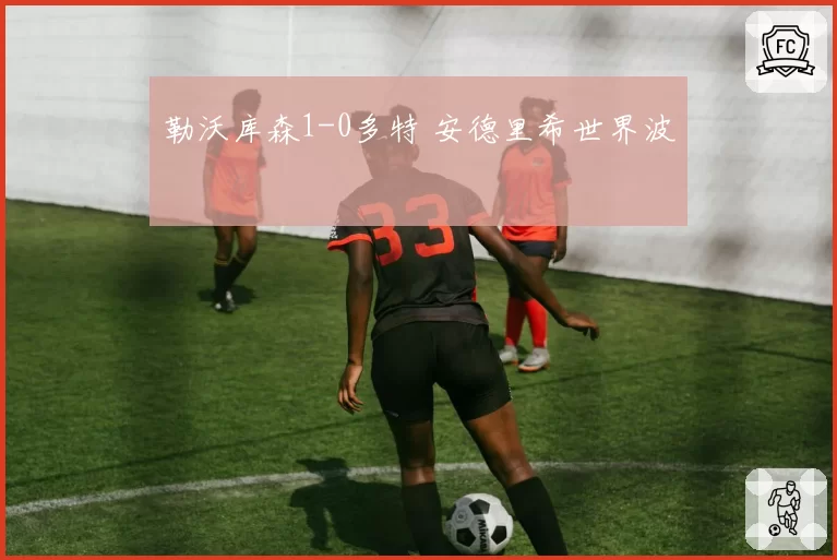 勒沃库森1-0多特 安德里希世界波